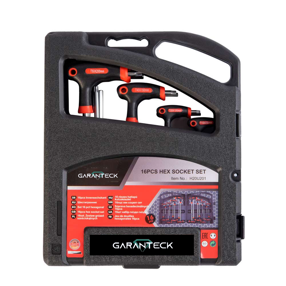 Set di chiavini esagonali e torx da 16 pz in acciaio vanadio con custodia rigida