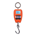 Bilancia Digitale Professionale Industriale Gancio Dinamometro Molla 200 kg